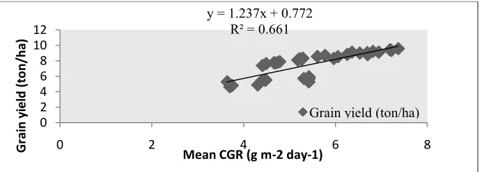 Figure 3: Relation between Grain Yield and Mean Leaf Area Index (LAI) on Spring Maize at Phulbari 