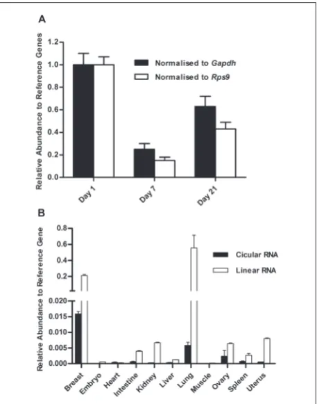fig. 4. Expression profile of cTc2n. A – Relative expression level of cTc2n on day 1, day 7 and day 21 postpartum
