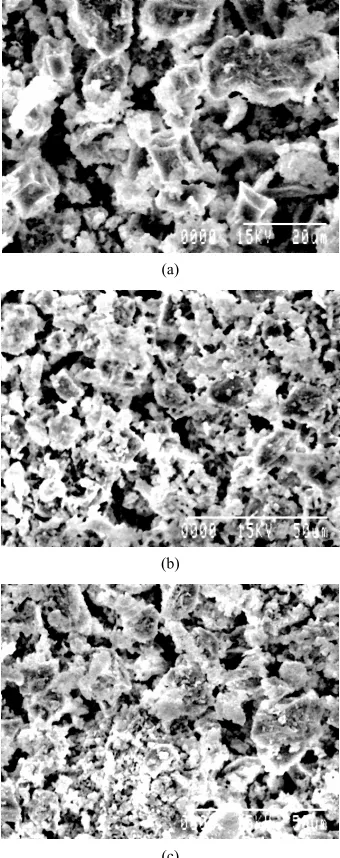 Figure 1. Scanning Electron Microscopy (SEM) images of LLD-1 (a), LLD-2 (b), LLD-3 (c)