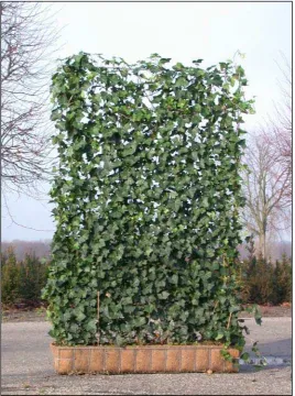 1 Fig. 9 