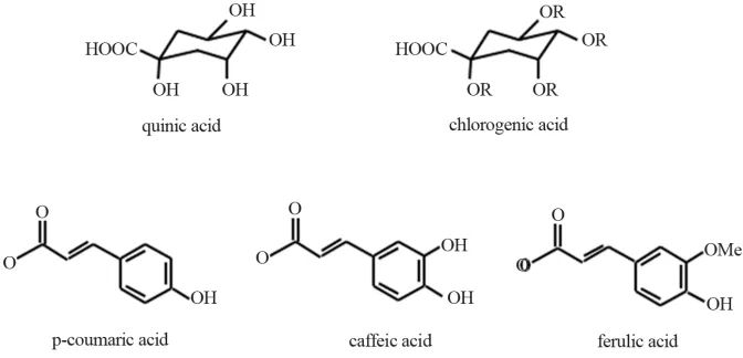 Figure 1. Chemical structures of chlorogenic acids; these are esters of quinic acid and 1 or more phenolic acids, such as p-coumaric, caffeic or ferulic acid/
