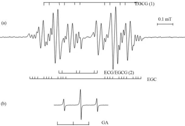Figure 4. EPR spectra of autoxidized (a) green tea and (b) black (Pu’er) tea. Details of the interpretation of the green tea spectrum are given in reference [47]