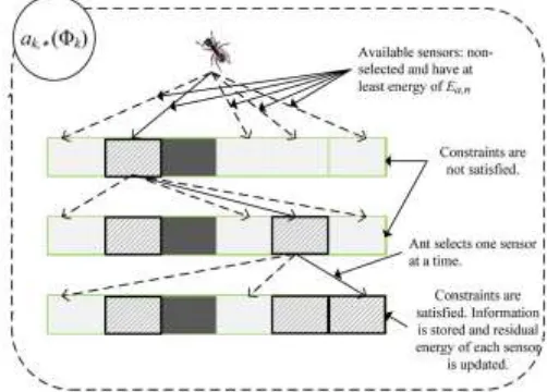 Fig. 1: Representation and construction behavior of ants 