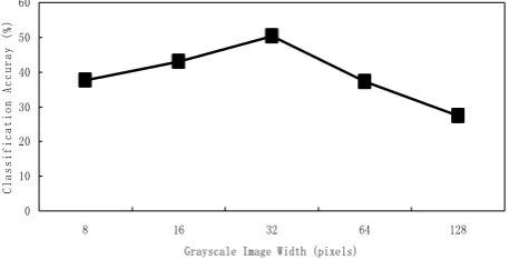 Figure 3．Classification Accuracy vs. Grayscale Image Width in Type-unbiased Model 