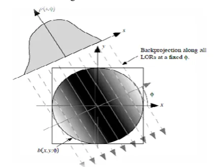 Fig 1. Back prF