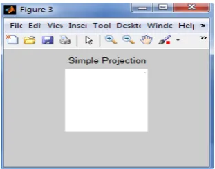 Fig 3 : The simple projection image 