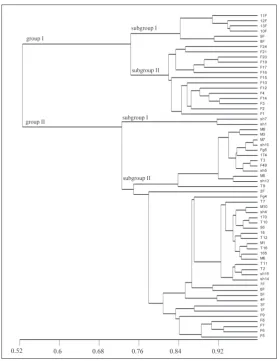 Fig. 2. UPGMA dendrogram generated via ISSR markers amplified in Fusarium sp. genome.