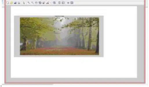 Fig. 1: Original image 