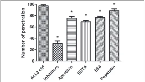 Fig. 6. Quantitative analysis of ECM degradation of IEC-6 after incubation with AcL3. A