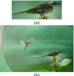 Figure 1.  Result of quaternion phase correlation. (a) image G; (b) image F; (c) search result; (d) meshgrid of search result