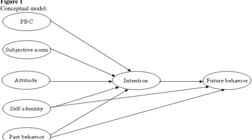 Figure 1 Conceptual model. 