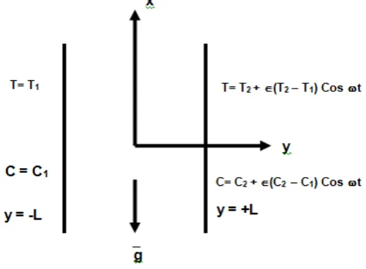 Fig. 1 −  Configuration of the problem 