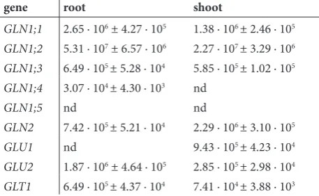 Table 2. Absolute expression of GS and GOGAT genes in roots and shoots of control (hormone untreated) plants