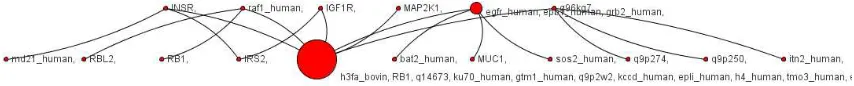 Figure 5: Inside a cluster