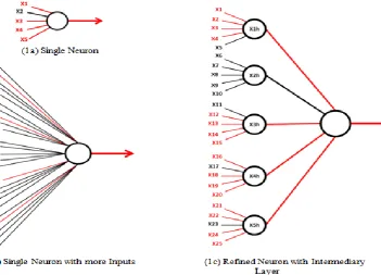 Figure 1.From Course to Refined Neuronal Unit Structure. 