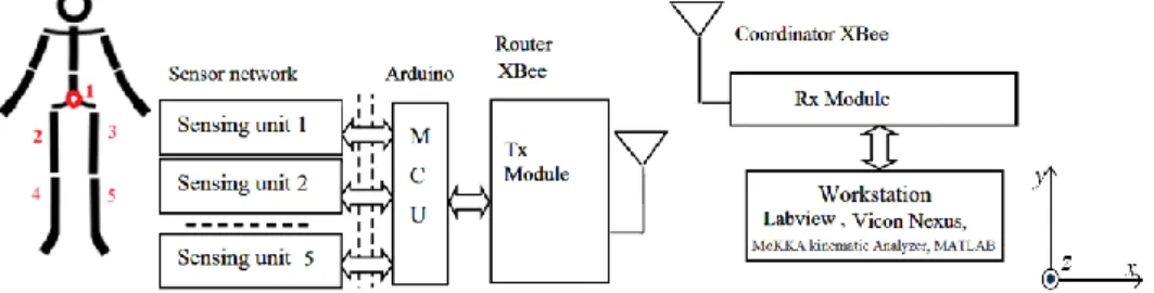 Fig. 2. Schematic of the wearable inertial sensor system and orientation of the sensing  unit