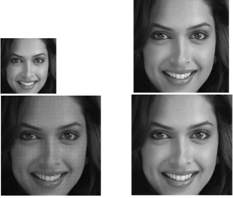 Figure 6 (d) shows the super-resolved image by using contourlet transform. The details of the eye and teeth can be observed clearly