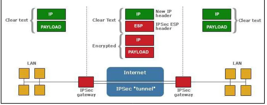 Figure 2: IPsec contains a gateway and a tunnel in order to secure communications. [17]   The current version and new version of the Internet 
