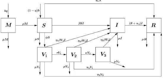 Figure 1.1. The ﬂow chart describing our model withand without controls