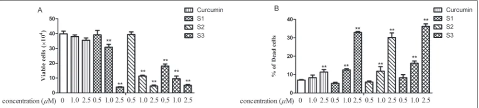 table 1. Inhibitory effect of curcumin and curcumin analogs on the growth of different cells.