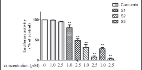 fig. 5. Effects of curcumin and curcumin analogs on NF-κB tran-scriptional activity in PC-3/N cells