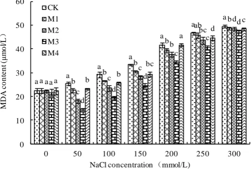 Figure 3. Effects of B. subtilis QM3 on content of proline of wheat root under different NaCl 3 replicates
