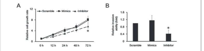 Fig. 4. LOX mRNA is a direct target for miR-29b in ES-2 cells. A – luciferase activity was measured in ES-2 cells and SKOV3 cells transfected with either Luc-LOX UTR WT or Luc-LOX UTR Mut