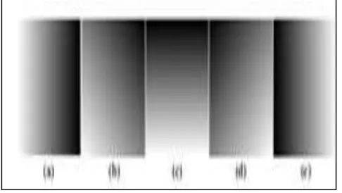 Fig. 4: Major Depth Gradients 