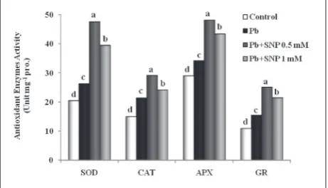 Fig. 1. Effect of Pb (200 mg kg-1 soil) and SNP (0.5 and 1 mM as NO donor) on MDA content of cowpea