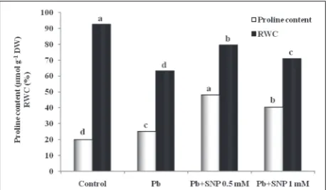 Fig. 3. Effect of Pb (200 mg kgNO donor) on the proline content and RWC in cowpea. Different letters indicate significant differences at -1 soil) and SNP (0.5 and 1 mM as P≤0.05 (using DMRT).