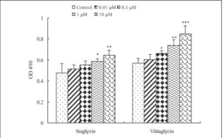Fig. 1. The effects of DPP4 inhibitors on the expression and activity of DPP4 in human EPCs