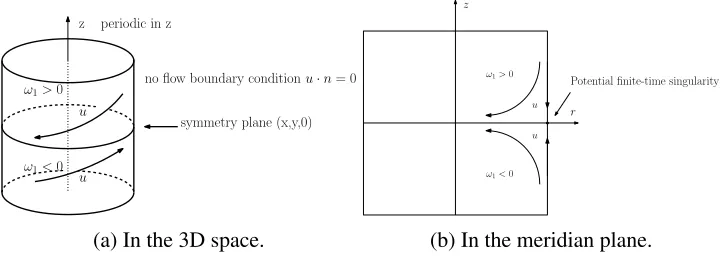 Figure 2.1: Vorticity and velocity ﬁelds in the numerical computation [58].