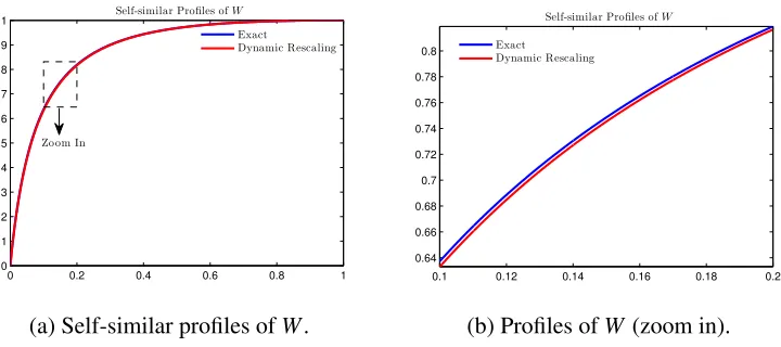Figure 2.4: The self-similar proﬁles obtained from (2.4.14) and (2.2.4).