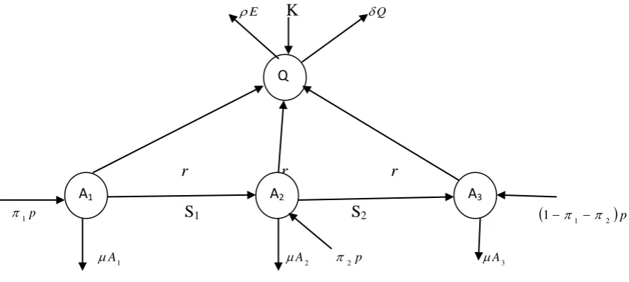 Figure 1: Flow diagram for the compartmental model 