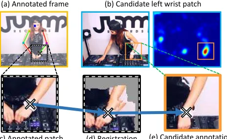 Figure 4. Spreading the annotations spatially and temporally through the video. (a) Example patch of annotated left shoulder joint(white cross) from the generic pose estimator