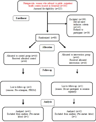 Figure 1.    Flow of participants through each stage of this study.