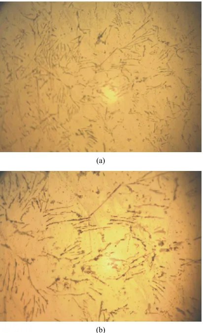 Figure 3. Micrograph of Al-12wt%Si + 0.02% S alloy casting (200×). 