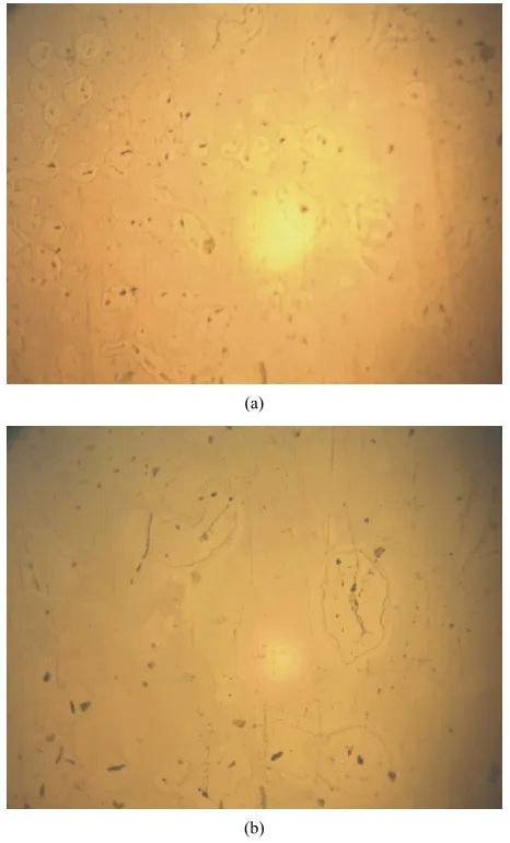 Table 2. Mechanical properties of modified and unmodified sand-cast Al-12wt%Si alloy in as cast condition