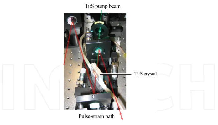Figure 2. Pump-probe experimental scheme.