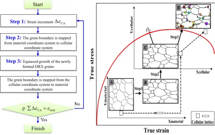 Fig. 4 A schematic representation showing the mapping of the grain boundary through material cellular coordinate transformation