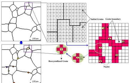 Fig. 5 Illustration of operation of CA mode for dynamic recrystallization