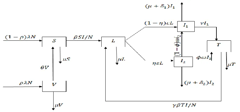 Figure 1: Schematic flow diagram showing dynamics of tuberculosis, where II1I2.