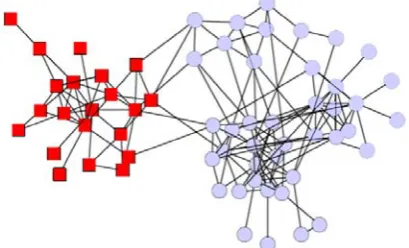 Figure 1.The dolphins’ social relationship network  The study defines the number 1 to 124 as the 
