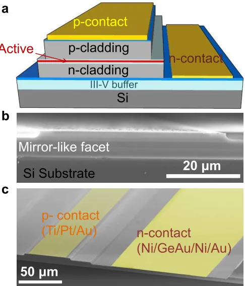 Figure 3. Fabricated III-V laser directly grown on silicon substrates. (a) Schematic of the layer structure of an InAs/GaAs QD laser on a silicon substrate