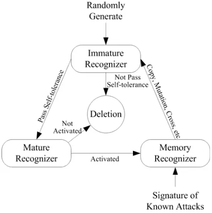 Figure 3.  Dynamic Evolution Process of Recognizer. 