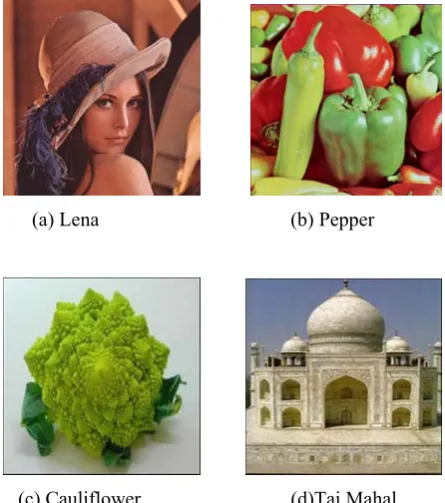 Fig 5. Original (512 X 512, 24 Bit/Pixel) Images. 