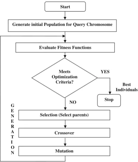 Fig. 15 Outline of execution of the developed genetic algorithms