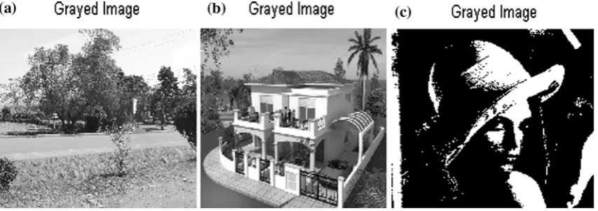 Fig. 9 Brightness mapping curve