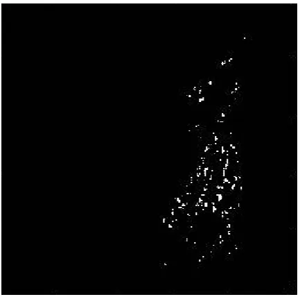 Figure 9.  Bdip Method Generated Salient Point    