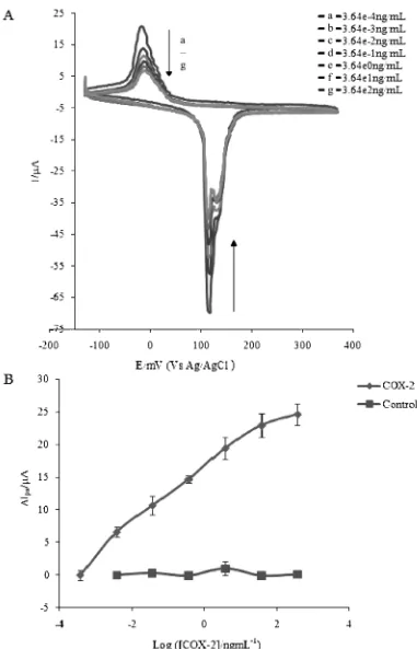 Fig. 2.Representative Cyclic voltammograms and Calibration curve. (A) Voltammograms obtained after incubating the goat anti-COX-2 modified electrode with different concentrations of COX-2